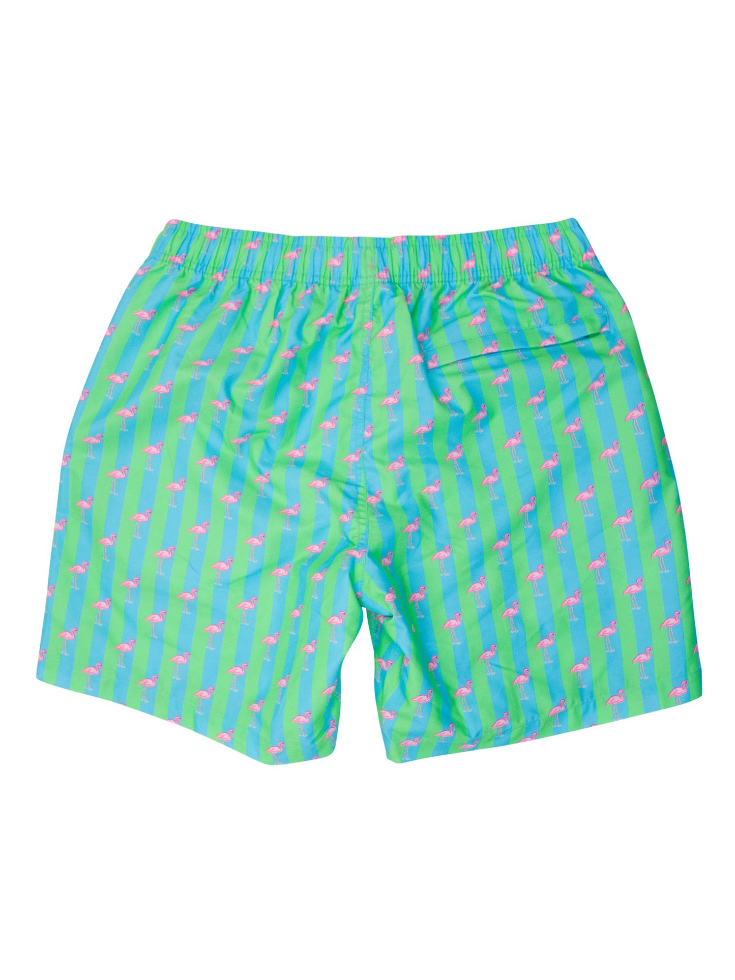 Men's Neon Flamingo Stripe Swim Trunks
: Green / Men's XL