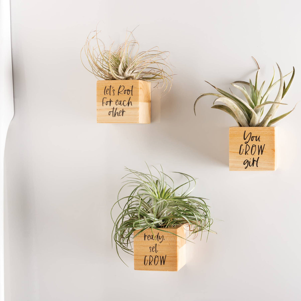You Grow Planter Magnet Set