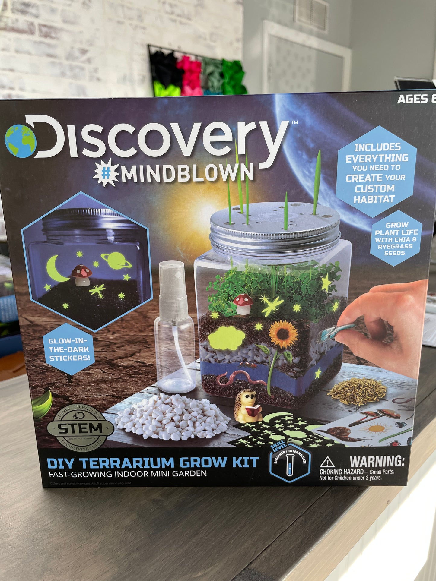 Discovery DIY Terrarium Grow Kit