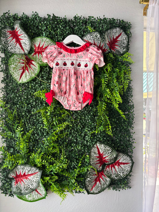 Ladybug Love One-piece: 6 months