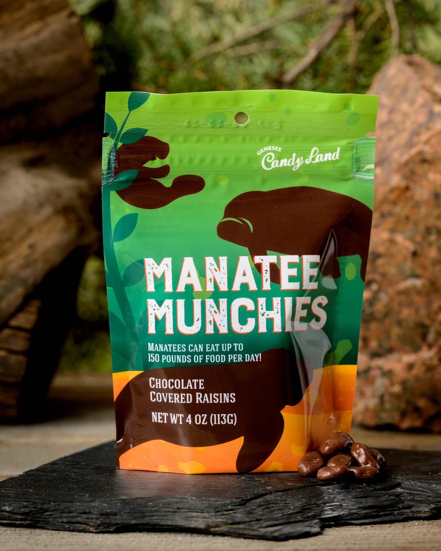 Manatee Munchies (chocolate covered raisins)