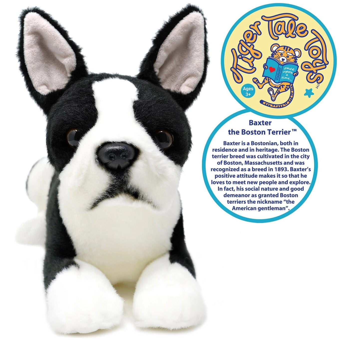 Baxter the Boston Terrier | 8 Inch Stuffed Animal Plush