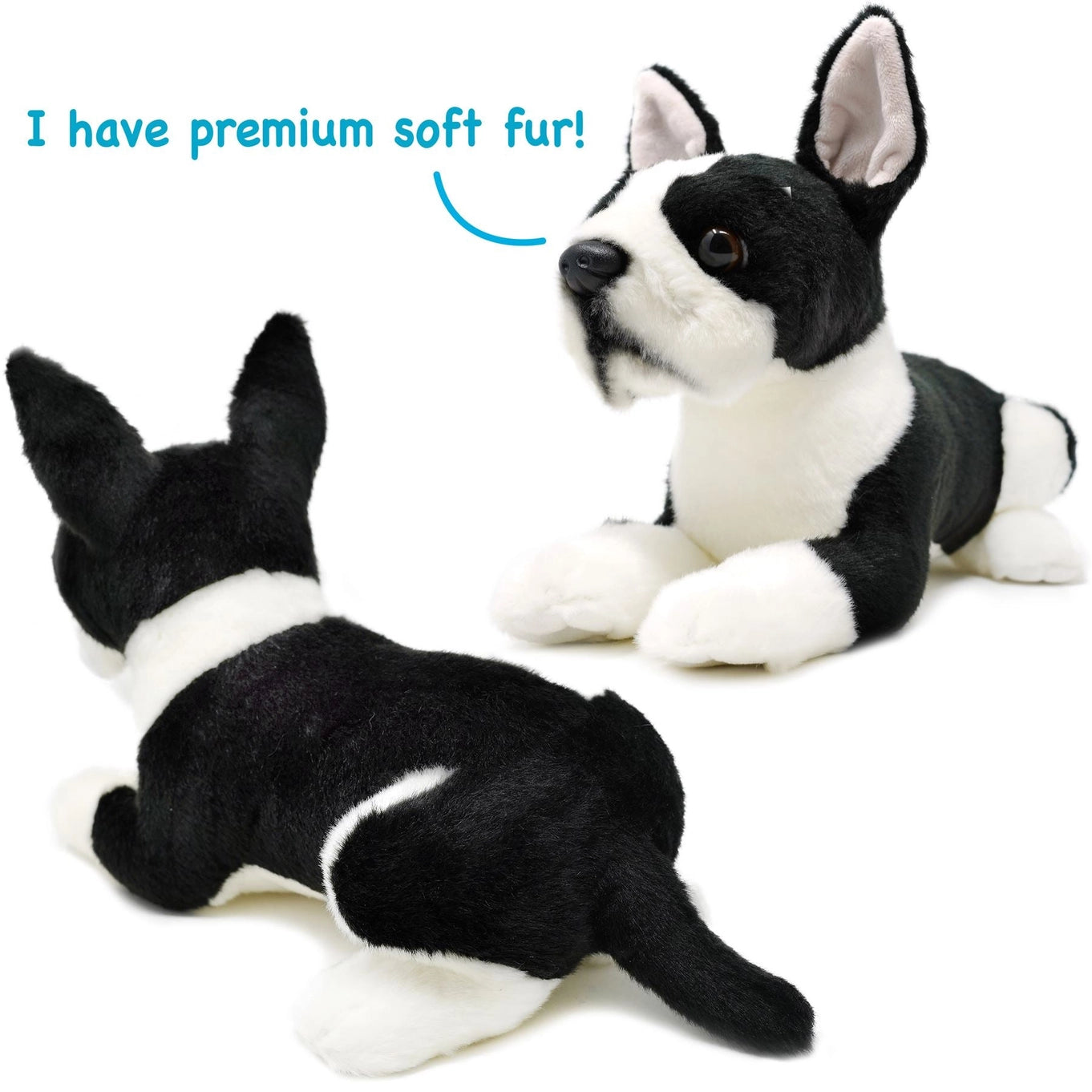 Baxter the Boston Terrier | 8 Inch Stuffed Animal Plush