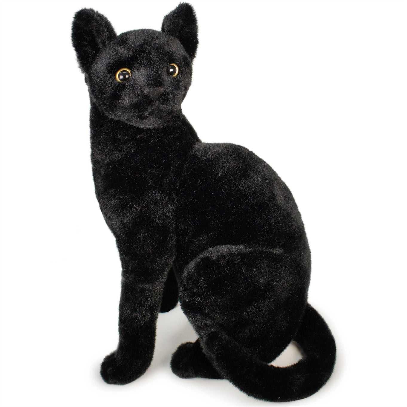 Boone the Black Cat | 13