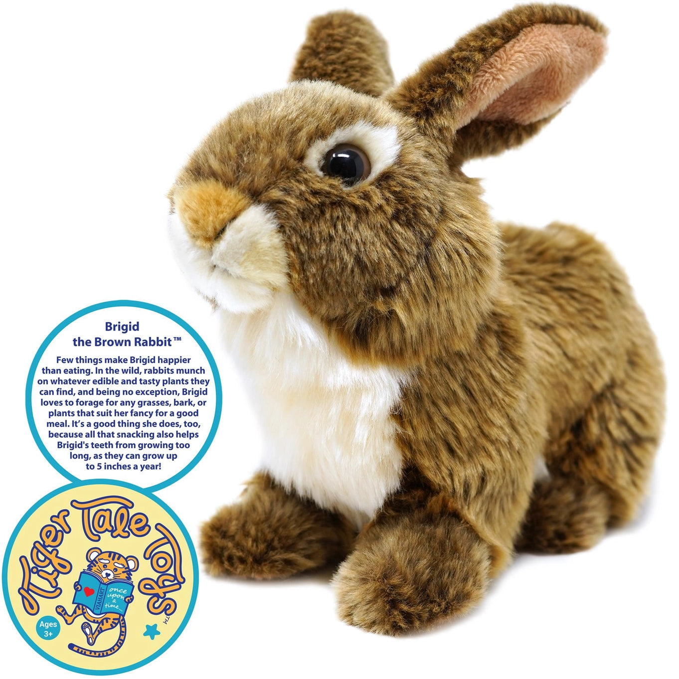 Brigid the Brown Rabbit | 10 Inch Stuffed Animal Plush