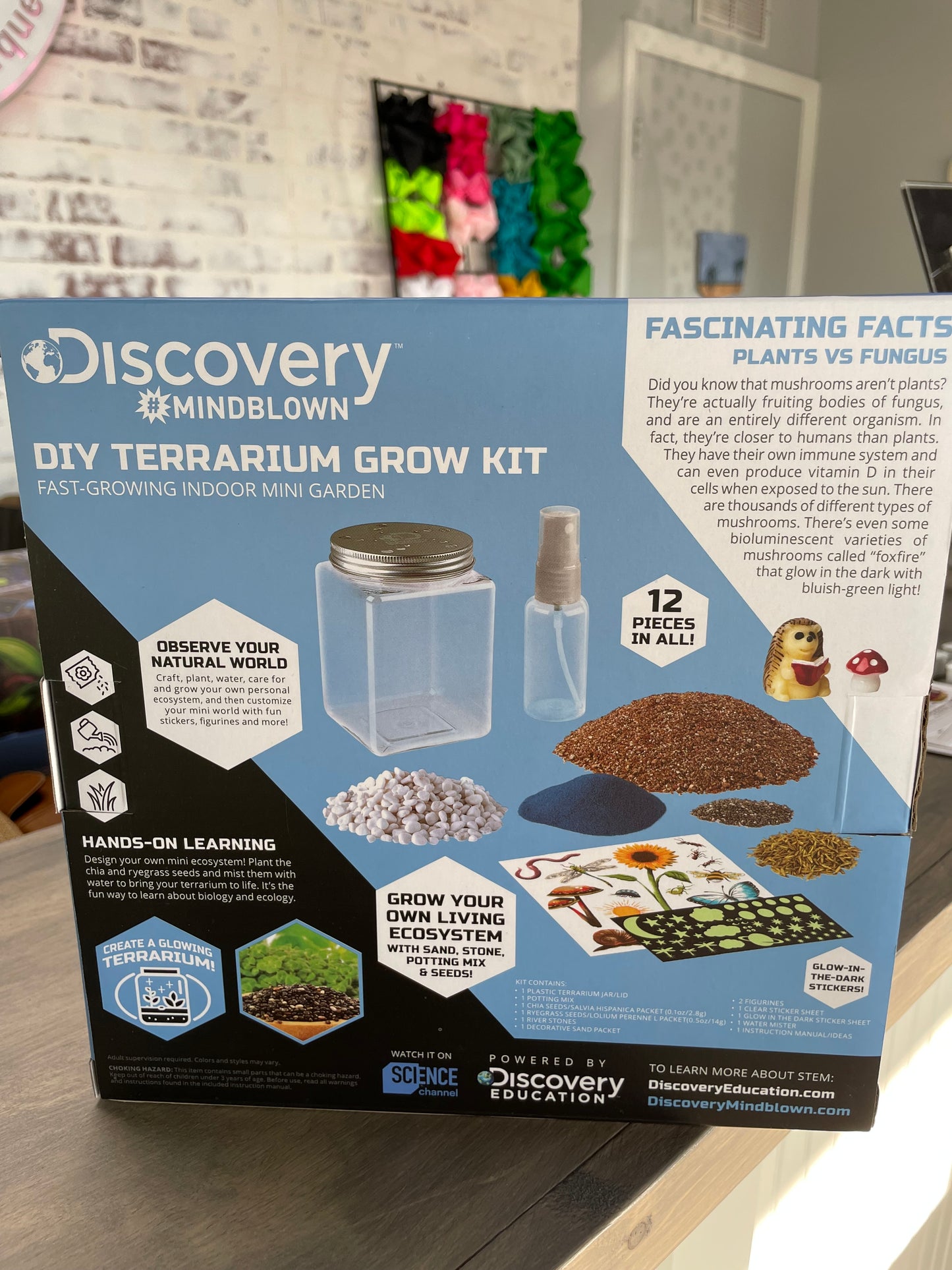 Discovery DIY Terrarium Grow Kit