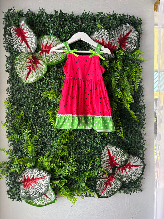 Sweet Summer Watermelon dress: 12-18 Months