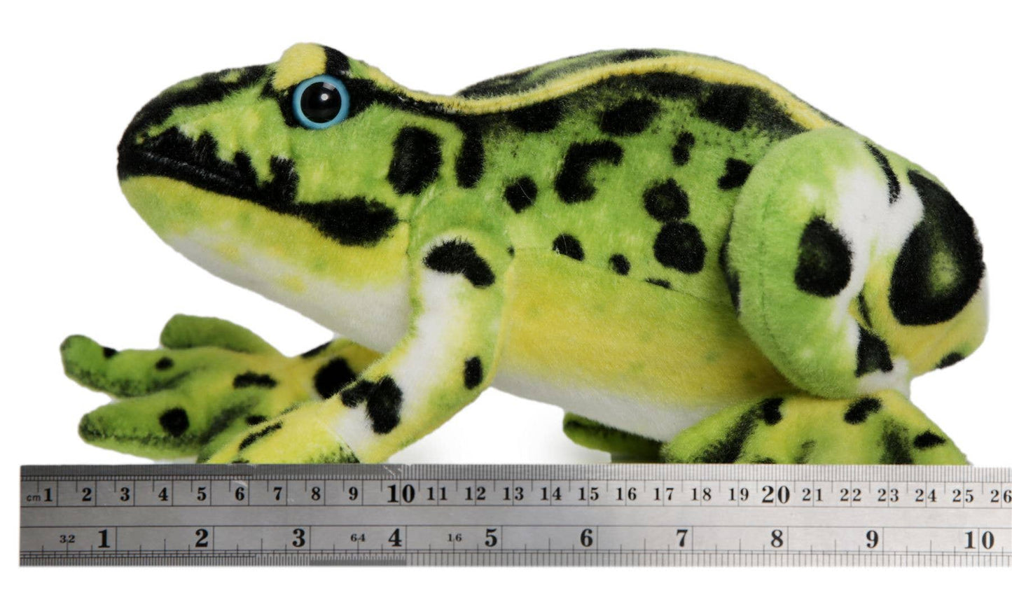 Frisco The Frog | 10 Inch Stuffed Animal Plush